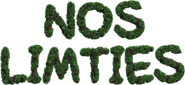 logo-5-nos-limites 700px