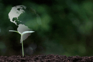 formation permaculture